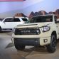 Los Angeles Auto Show 2015 (6)