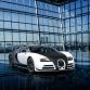 Bugatti Veyron Vivere by Mansory