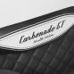 Lamborghini Aventador Carbonado GT Stealth Edition by Mansory