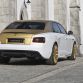 mansory (41)