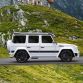 mansory (49)