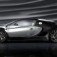 mansory-linea-vincero-bugatti-veyron-164.jpg