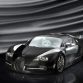 mansory-linea-vincero-bugatti-veyron-164_1.jpg