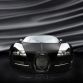mansory-linea-vincero-bugatti-veyron-164_3.jpg