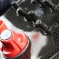 Maserati MC12 Corsa by Edo Competition for sale (2)