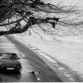 mazda-90-years-history-164