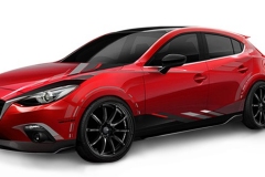 Mazda lineup for Tokyo Auto Salon 2014