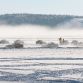 Mazda MX-5 Ice Race 2011