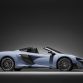 6197675LT-Spider-by-MSO_02