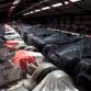 McLaren - The secret world of Unit 2