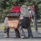 Mechanical elephant for auction (2)