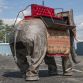 Mechanical elephant for auction (3)
