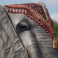 Mechanical elephant for auction (4)
