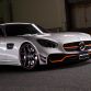 wald-int-amg-gt-black-bison-new-pics-10