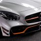 wald-int-amg-gt-black-bison-new-pics-5