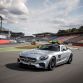 Mercedes AMG GT S DTM safety car (7)
