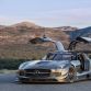 Mercedes-AMG SLS AMG GT3 45th Anniversary