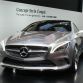 Mercedes-Benz Concept Style Coupe
