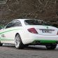 Mercedes-Benz CL500 by Wrap Works