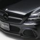 Mercedes-Benz CLS by Wald International
