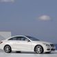 E 500 Coupe (C207) 2008