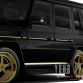 Mercedes-Benz G-Class iTempter by Dartz