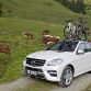 Mercedes-Benz M-Class 2012