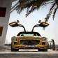 Mercedes-Benz SLS AMG Desert Gold Edition