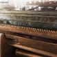 Mercedes G-Class by Carlex Design (9)