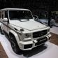 Mercedes in Geneva 2013