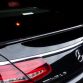 wald-s-class-black-bison-1