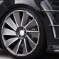 wald-s-class-black-bison-14