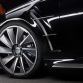 wald-s-class-black-bison-3