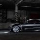 wald-s-class-black-bison-4
