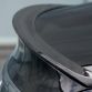 wald-s-class-black-bison-5
