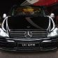 Mercedes Vito VIP by Vilner