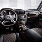 Mercedes-Benz G-Klasse (BR 463) 2015