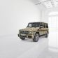 Mercedes-Benz G-Klasse (BR 463) 2015