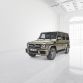 Mercedes-Benz G-Klasse (BR 463) 2015
