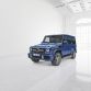 Mercedes-Benz G-Klasse (BR 463) 2015