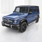 Mercedes-Benz G-Klasse (BR 463) 2015