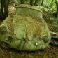 Michael Frohlich abandoned cars
