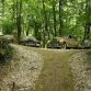 Michael Frohlich abandoned cars