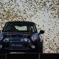 mini-50th-anniversary-festivities-at-silverstone-3.jpg