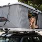 MINI Clubvan Camper, Cowley and Countryman ALL4 Camp