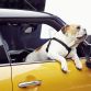 mini-cooper-2014-teaser-photos-4