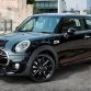 mini-carbon