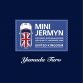 MINI Cooper S Jermyn (40)