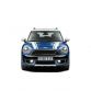 MINI-Countryman 2017 (201)