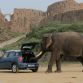 Mini Countryman in India